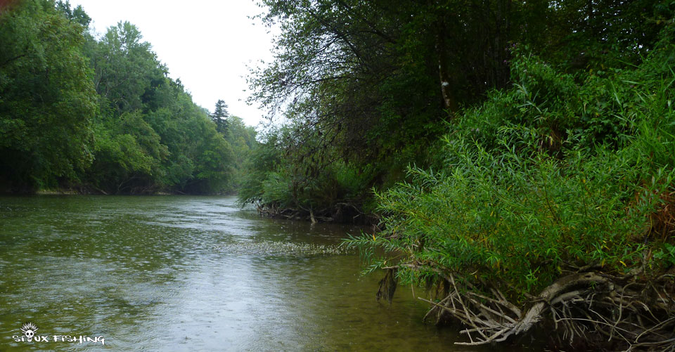 la Haute rivière d'Ain sous la pluie