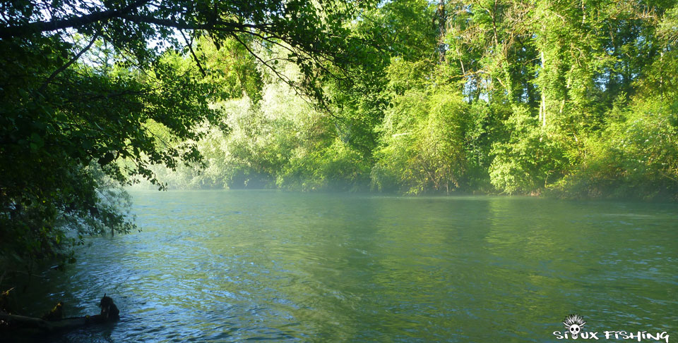 Truite de la Haute Rivière d'Ain