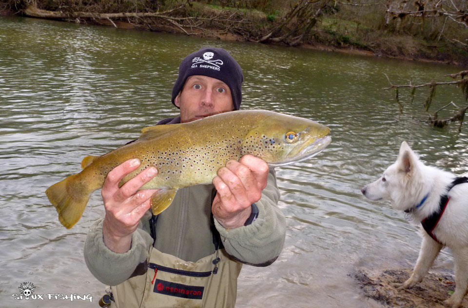 Grosse truite de l'Ain Grosse truite de l'Ain