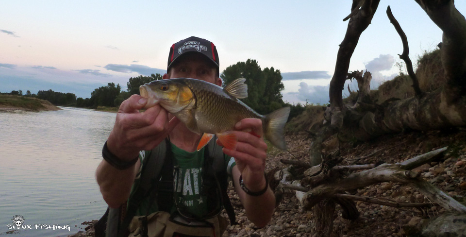 Chevesne de Loire Chevesne de Loire