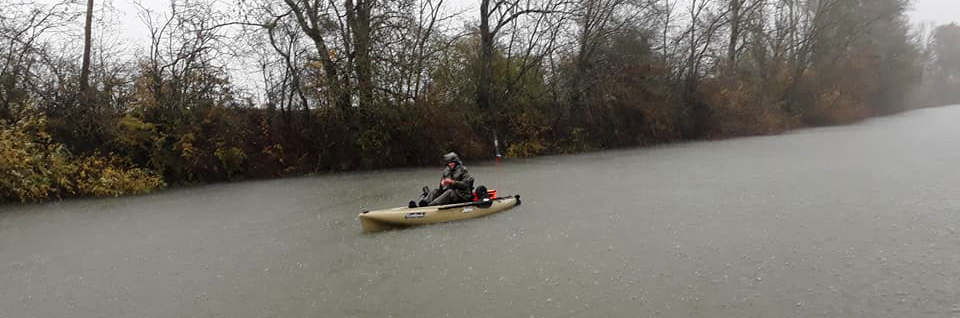 Silure en Seille en kayak