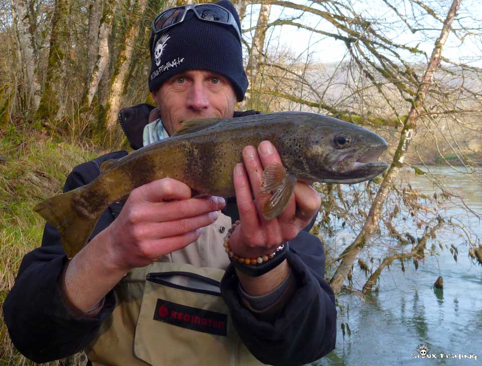 Truite de la Haute rivière d'Ain