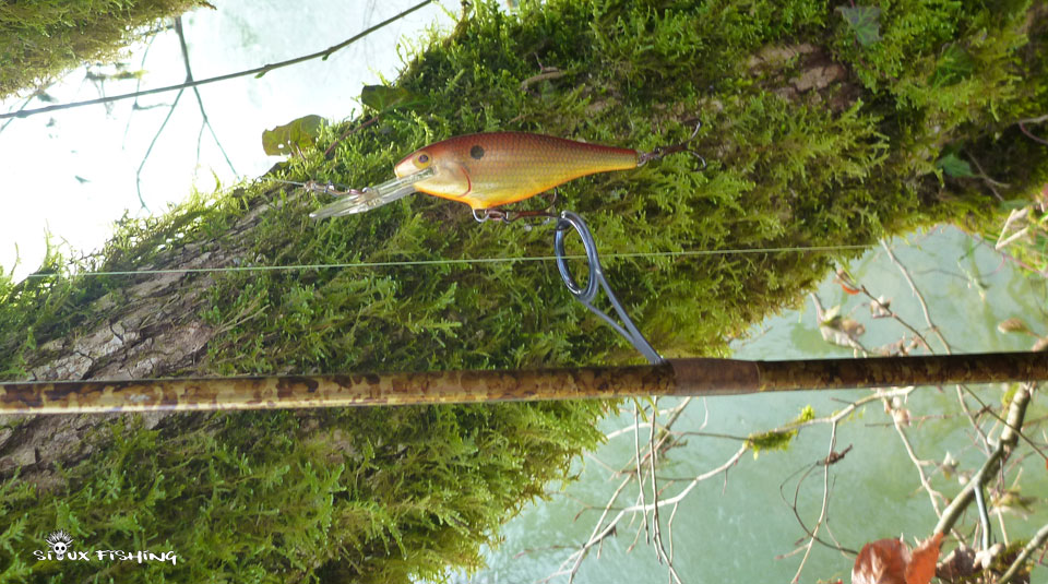 Leurre de pêche rapala