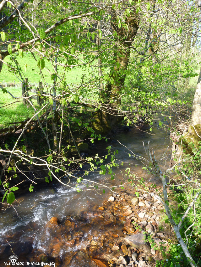 Le Mussy, une petite rivière à truite Le Mussy, une petite rivière à truite