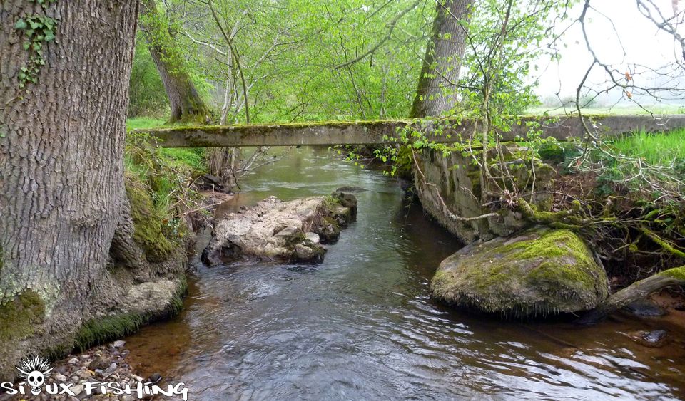 L'Aron, un ruisseau à truite L'Aron, un ruisseau à truite