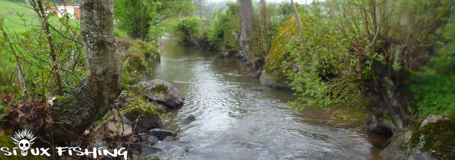une petire rivière à truite Le Mussy, petite rivière à Truite