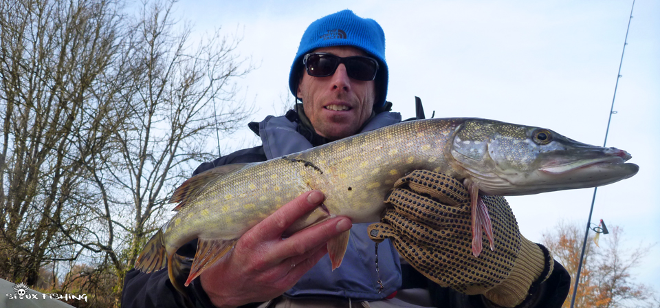 Brochet de la rivière Seille