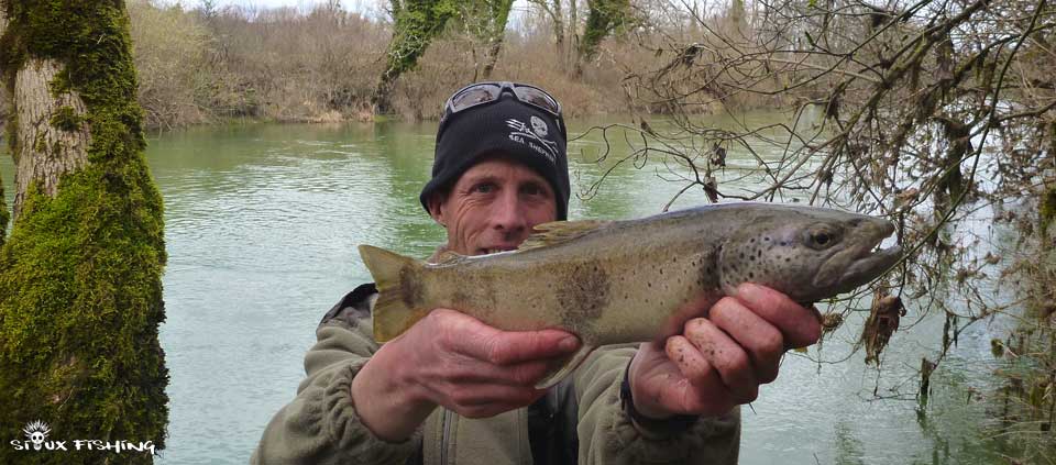 Truite à la robe typique de l'Ain Truite à la robe typique de l'Ain