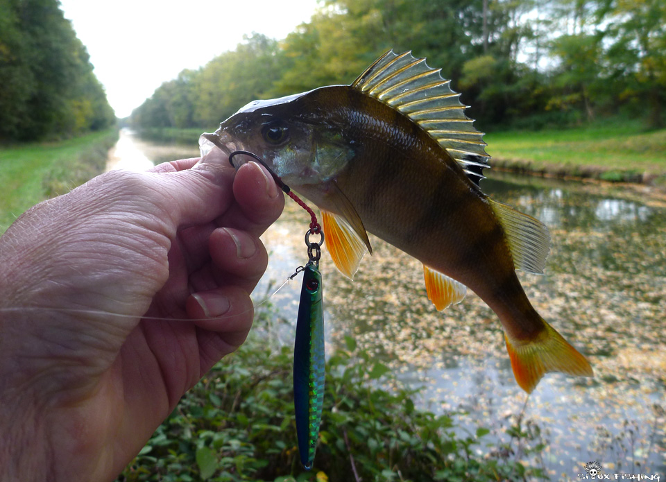 Perche du  canal de Roanne à Digoin