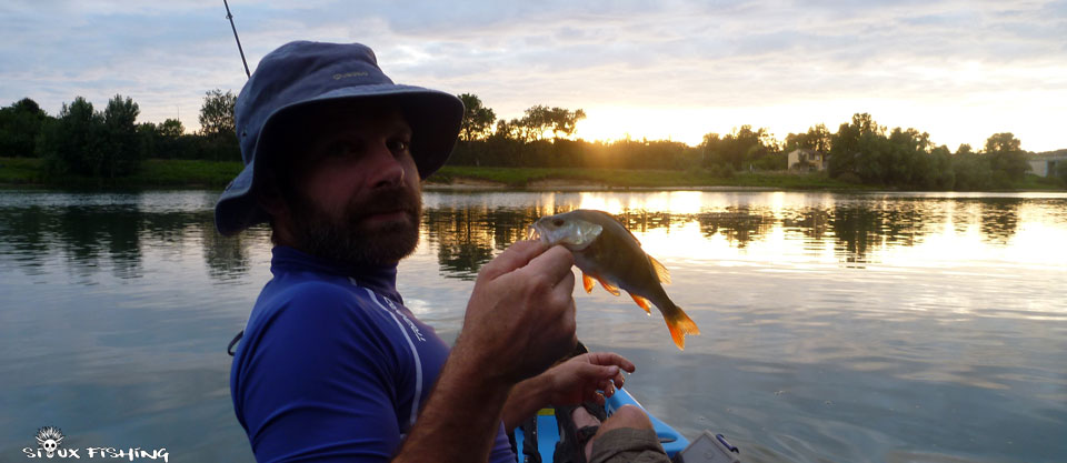Perche de Saône Perche de Saône