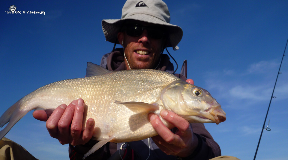 Brème de la gravière de Fleurville