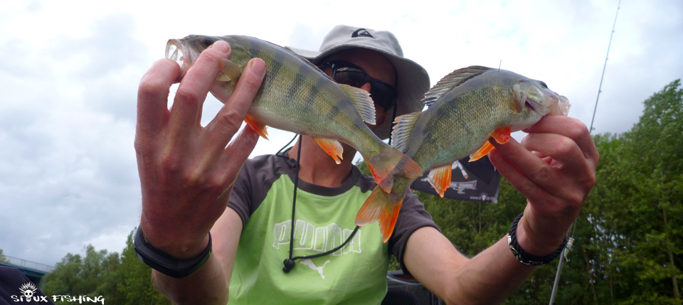 Perche de Saône à Tournus Perche de Saône à Tournus