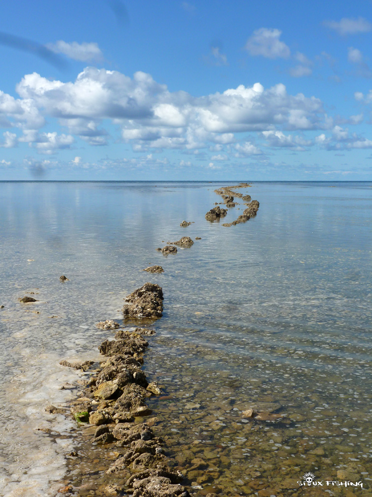 Paysage de l'Île d'Oléron Paysage de l'Île d'Oléron