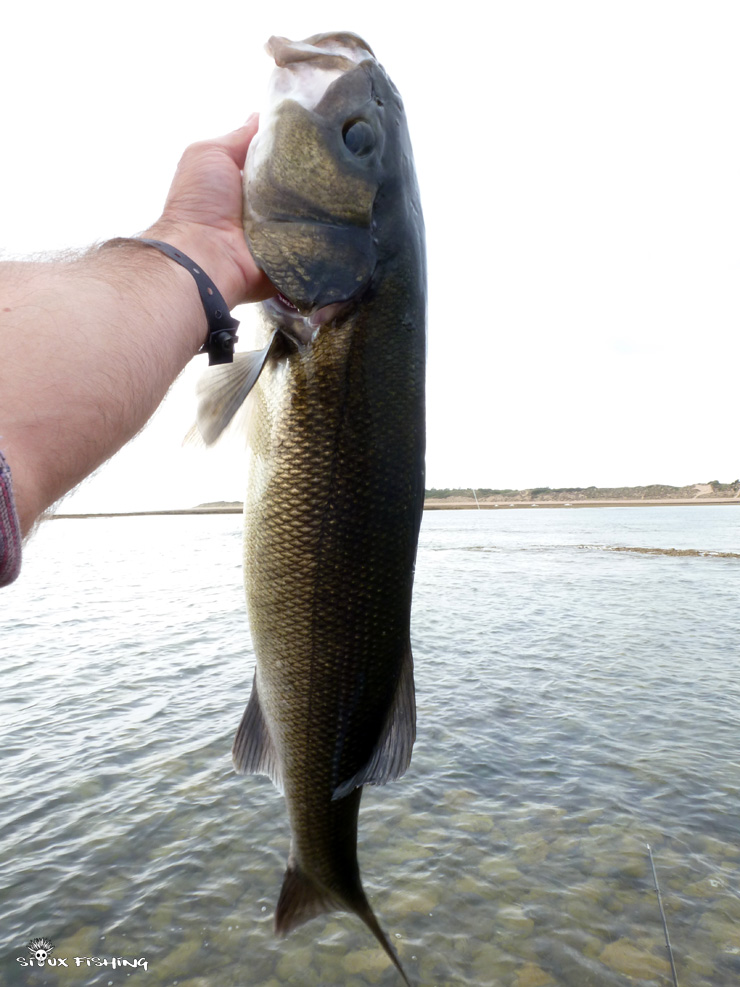 Bar de l'île d'Oléron Bar de l'île d'Oléron