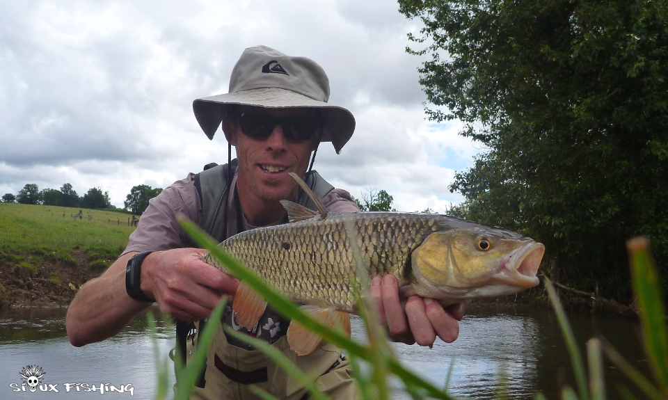 Chevesne de l'Arconce