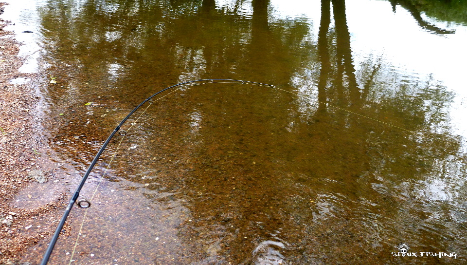 Pêche dans l'Arconce