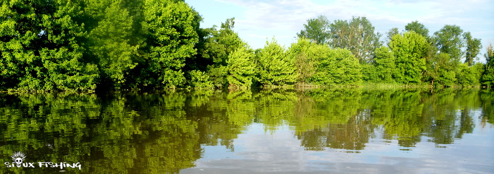 La Seille à Cuisery