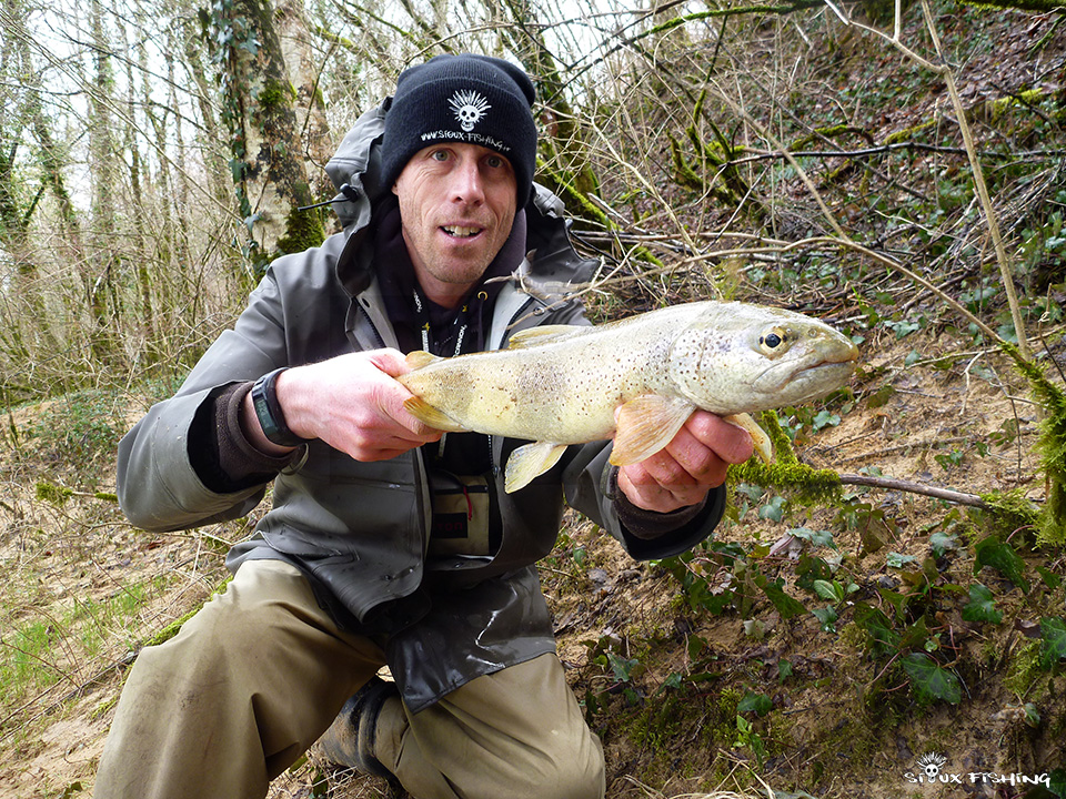truite de la haute rivière d'ain