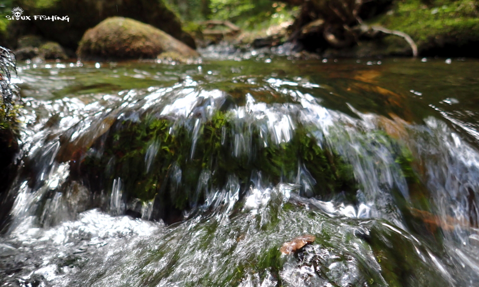  Canche, rivière du Morvan