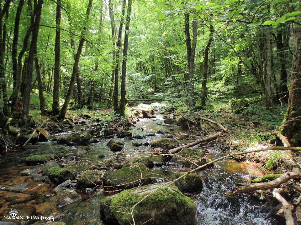  Canche, rivière du Morvan