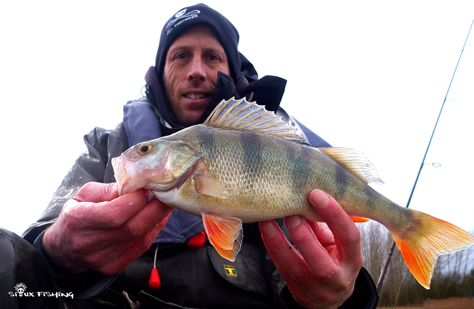 Perche de Fleurville