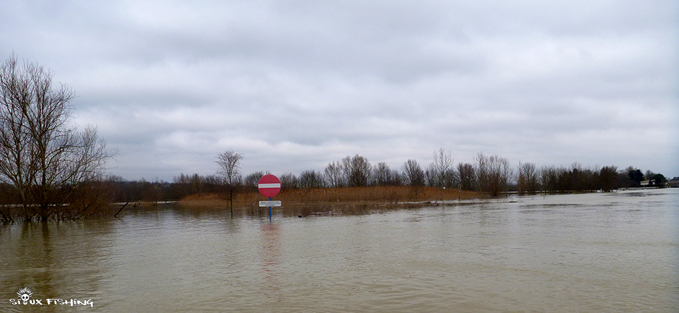 La Saône en Crue