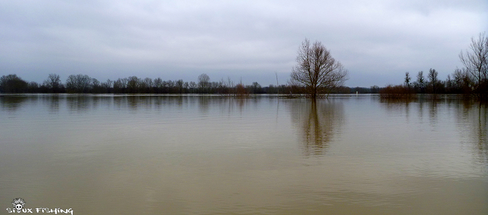La Saône en Crue