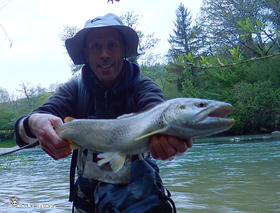 Grosses truites de l'Ain