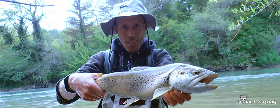 Grosses truites de l'Ain