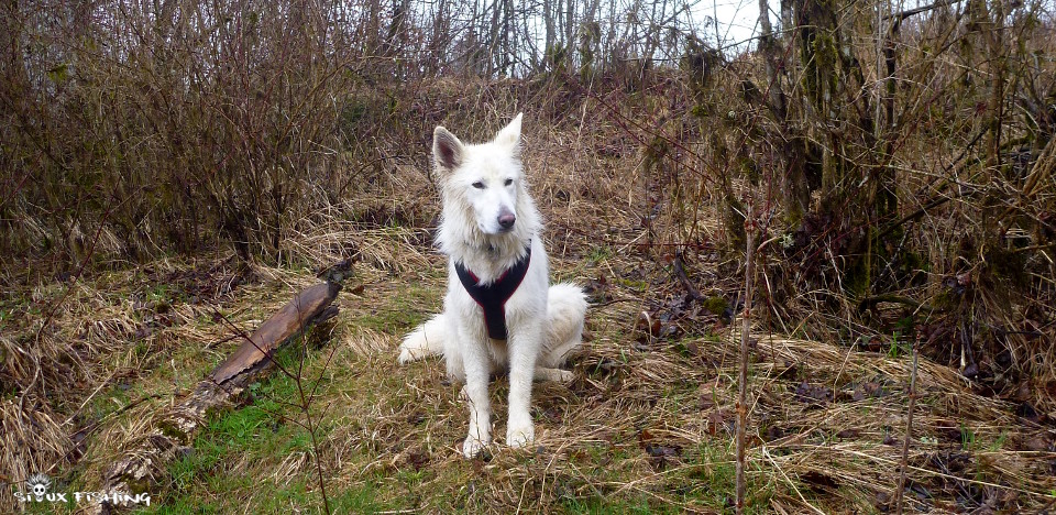 au bord de l'eau au bord de l'eau