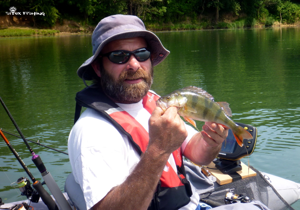 Perche de Saône par Dam's Perche de Saône par Dam's