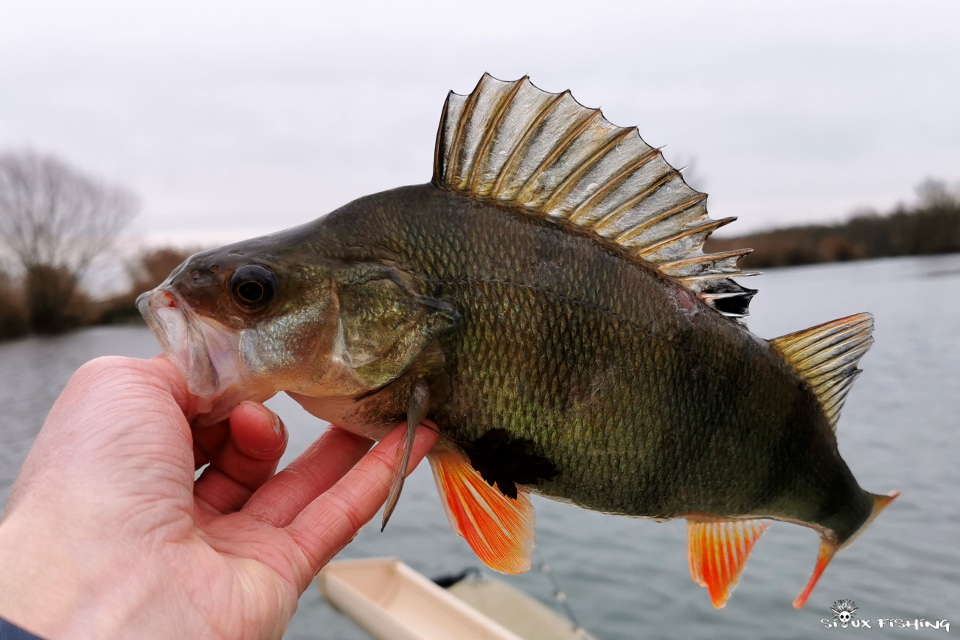 Perche de Seille Perche de Seille