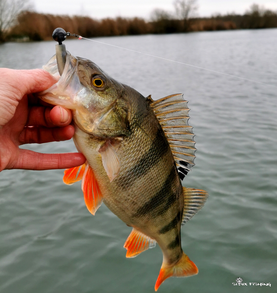 Perche de Seille Perche de Seille