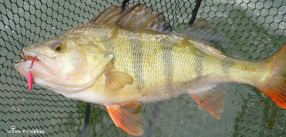 Perche de Seille Perche de Seille