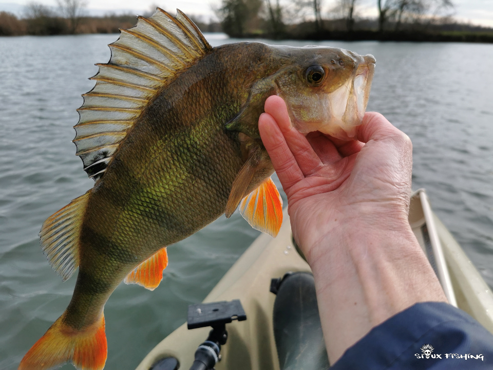 Perche de Seille Perche de Seille
