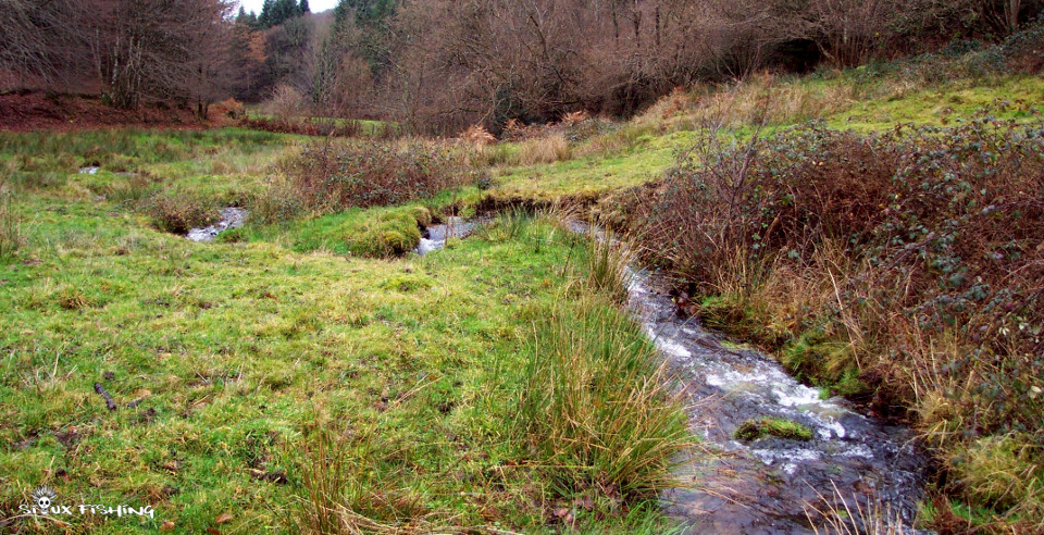 Le ruisseau des Vernottes dans le Morvan Le ruisseau des Vernottes dans le Morvan