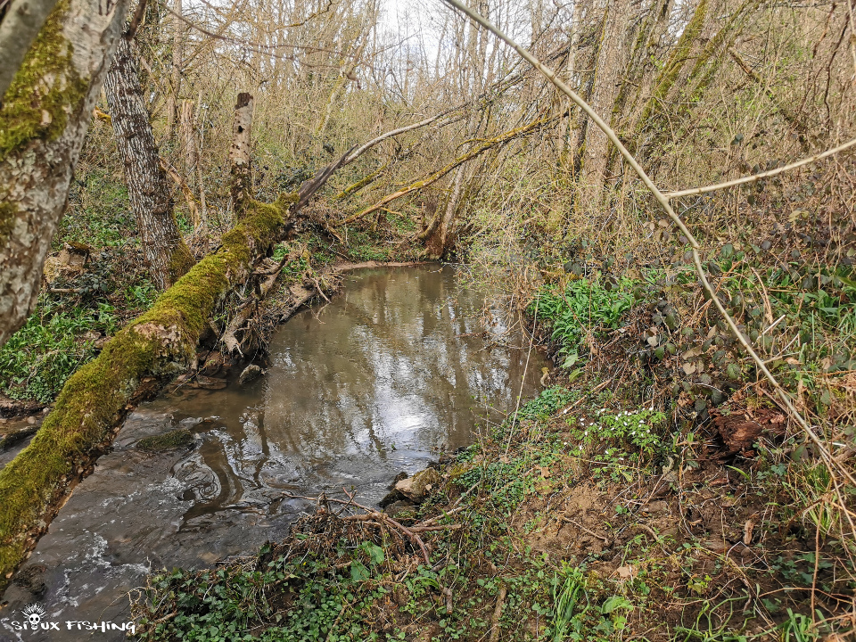 jolie rivière en forêt jolie rivière en forêt