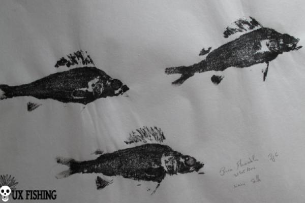 Gyotaku - Perches Collection