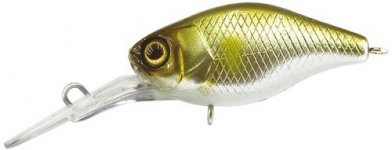 Deep Diving Chubby (Illex)